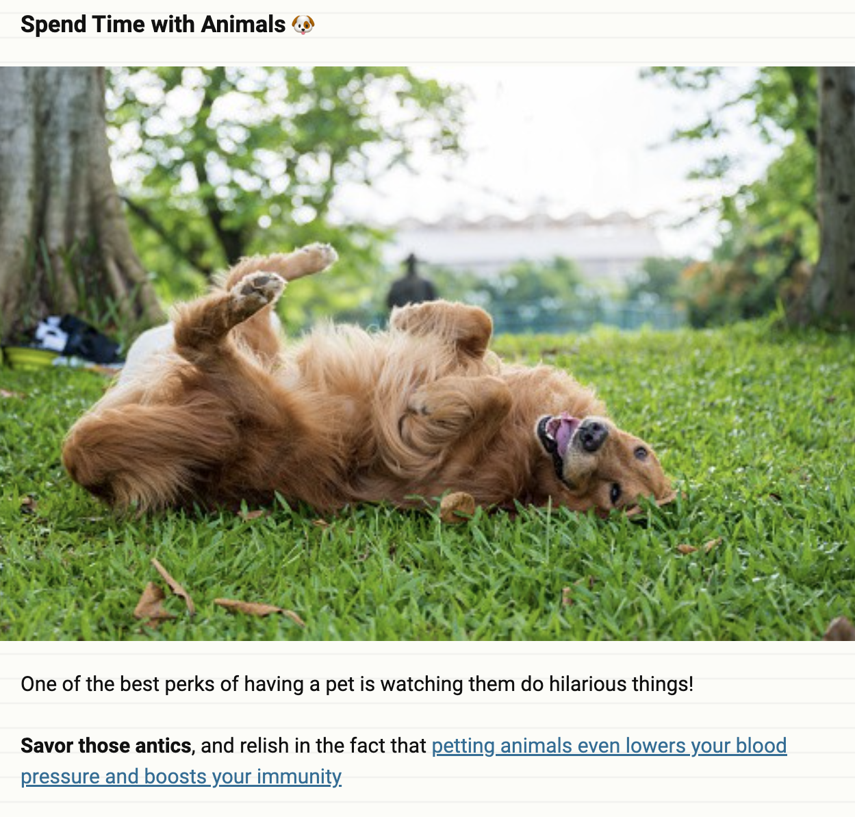 Dog rolling in grass with written description about perks of having pets