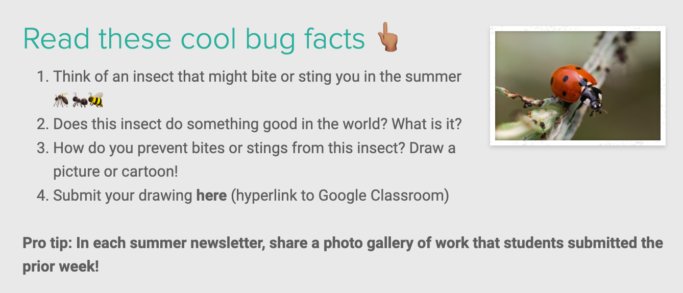 Screen shot of Summer Learning School Newsletter Assignment for Students